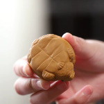 Chinese tea pet schildpad van Yixing-klei