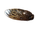 Cicade tea pet met gouden accenten