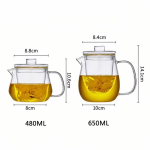 Glazen theepot met filter van borosilicaatglas