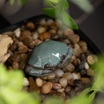 Krab tea pet van craquelékeramiek