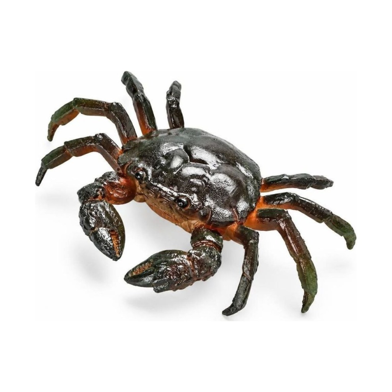 Krab tea pet van hars