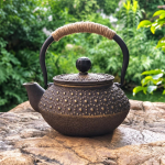 Retro gietijzeren theepot met filter van 300 ml — Gouden stippen