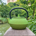 Retro gietijzeren theepot met filter van 300 ml — Lichtgroen en bruin