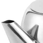 RVS theepot met korte schenktuit