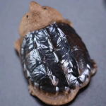 Schildpad tea pet van keramiek — Grote schildpad