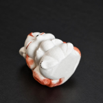 Tea pet met negenstaartige vos