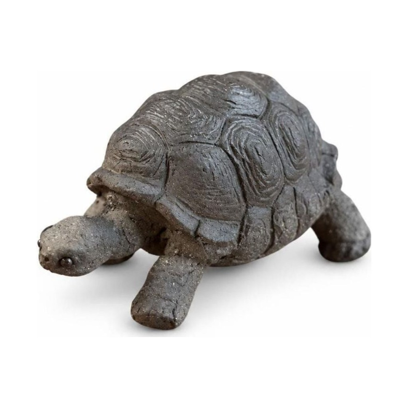 Tea pet schildpad met reliëf op het schild