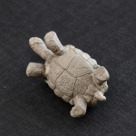 Tea pet schildpad met reliëf op het schild