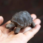 Tea pet schildpad met reliëf op het schild