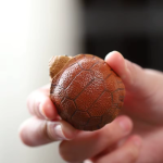 Tea pet schildpad van paarse klei