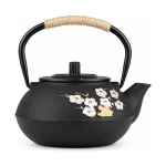 Tetsubin-theepot van gietijzer