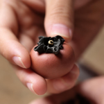 Yixing tea pet in kakivorm